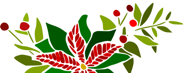 Christmas Flowers